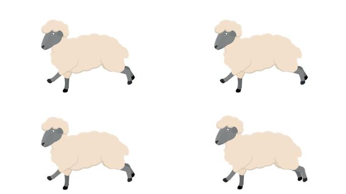 羊。动物羊的动画。卡通
