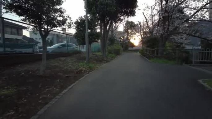 东京仙台波川公园樱花单车