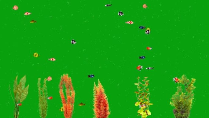 水下植物和游泳鱼类绿屏运动图形