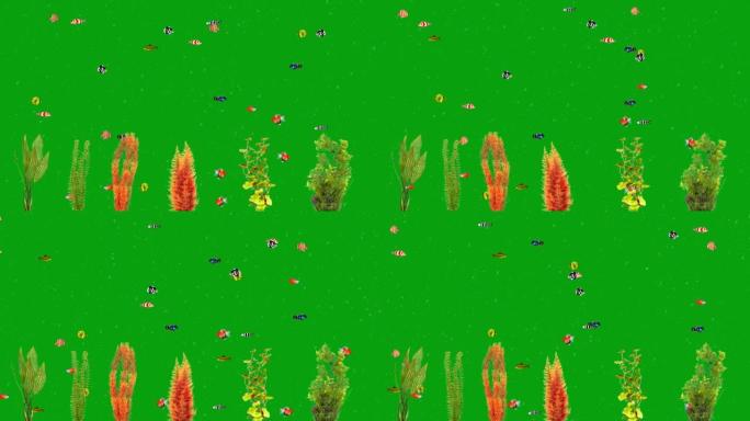 水下植物和游泳鱼类绿屏运动图形
