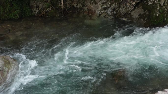 原始森林清澈溪涧流水