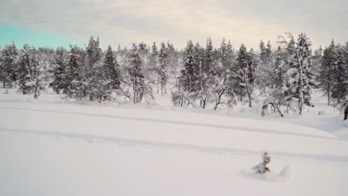 芬兰拉普兰的冬季景观
