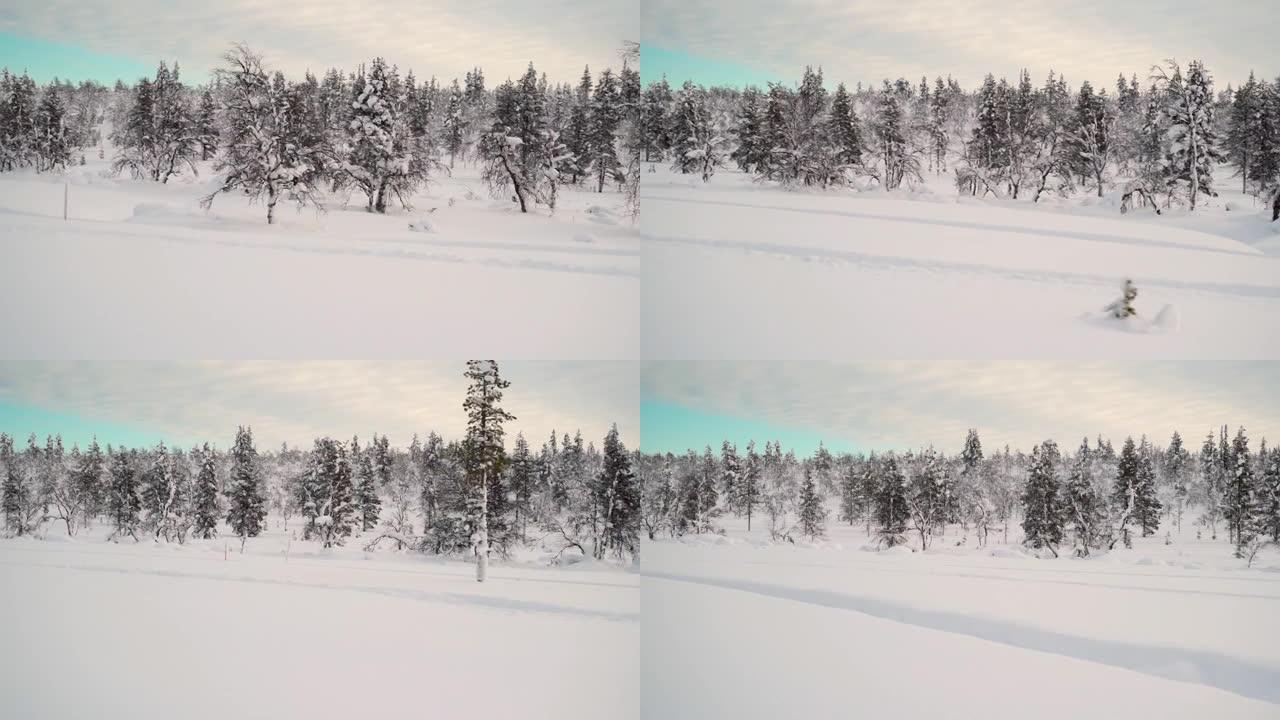芬兰拉普兰的冬季景观