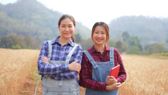 两名亚洲女农民一起在麦田工作的4k肖像