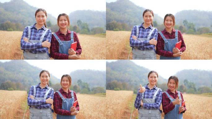 两名亚洲女农民一起在麦田工作的4k肖像
