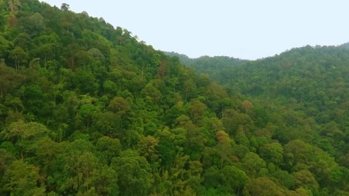 在山脊上拍摄泰国原始雨林的空中无人机