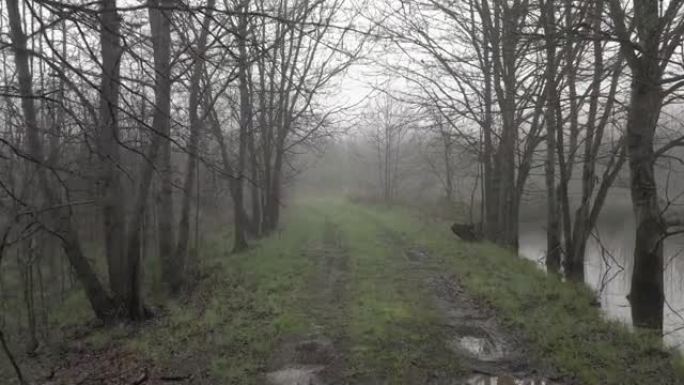 一场大风暴过后，在多雾的日出期间，农场的道路被洪水淹没