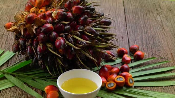 新鲜油棕榈果和烹饪棕榈油在木质背景的棕榈叶上。