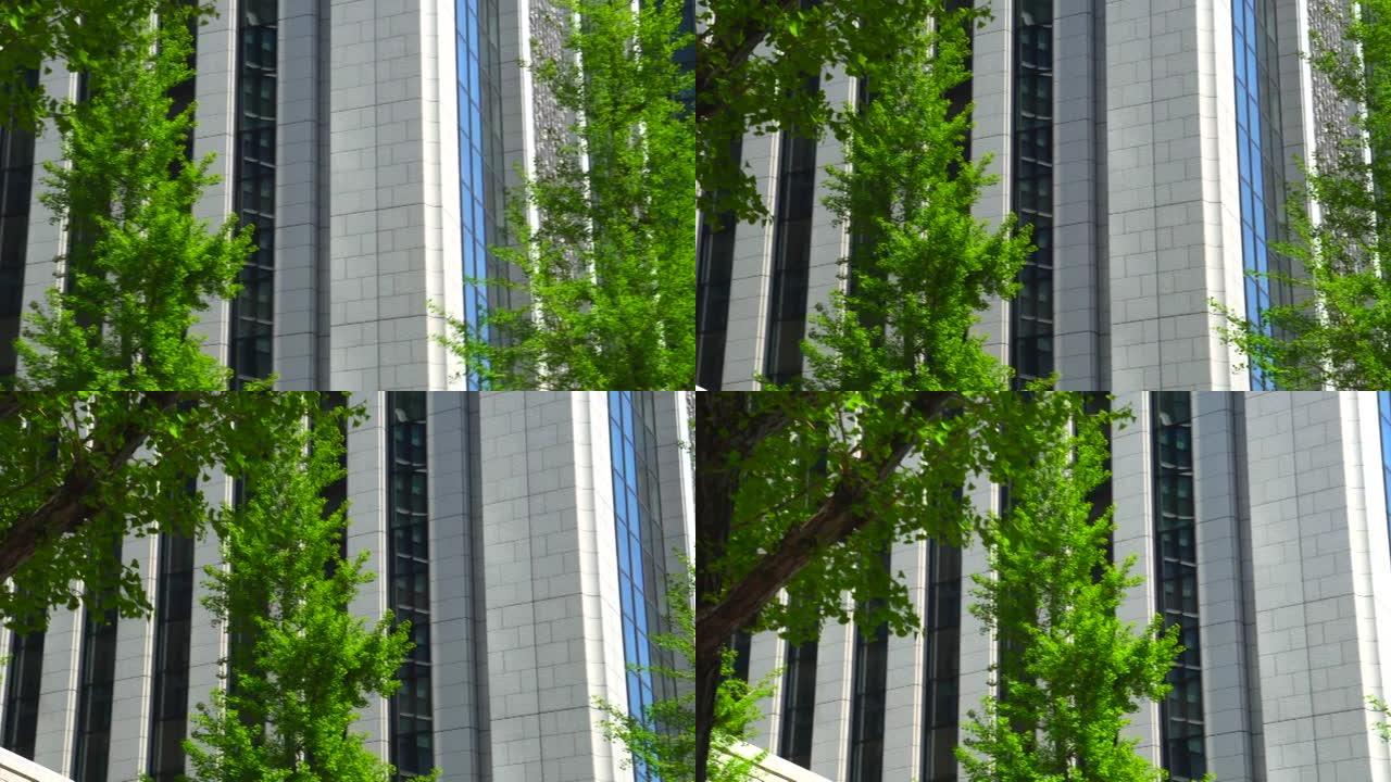 现代办公楼和树木高楼大厦写字办公大楼金融