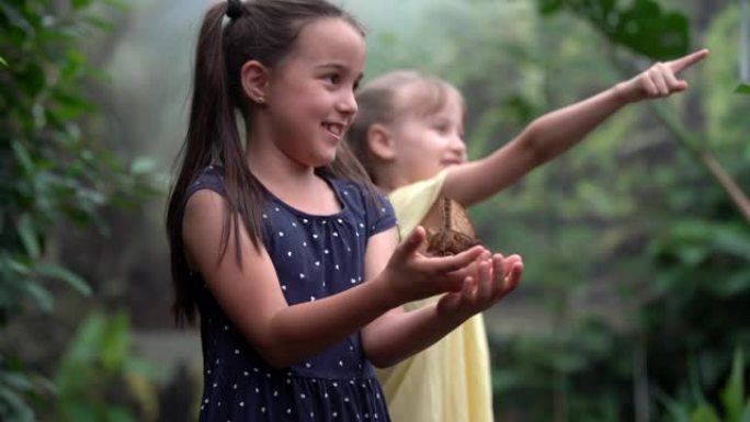 在热带花园看蝴蝶的孩子。小女孩喂养异国蝴蝶
