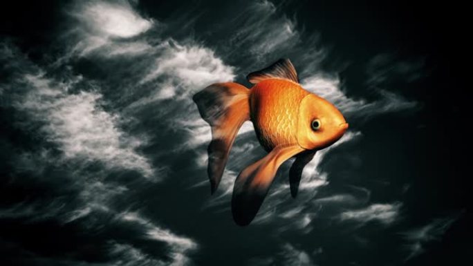 天空中的鱼
