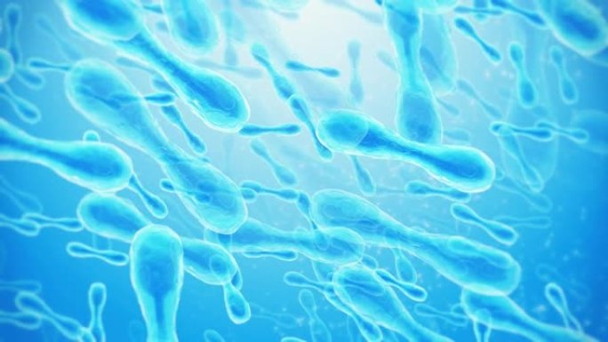 益生菌-酵母细胞蓝色细菌粒子动态