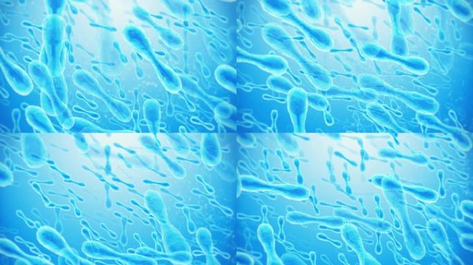 益生菌-酵母细胞蓝色细菌粒子动态