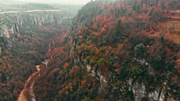 秋天的峡谷高山峰森林海云海翻滚云雾
