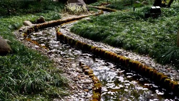 飘落的吉野酒井樱桃花花瓣在微风中，如小溪上的雨，美丽的风景，4k慢动作镜头，b滚动镜头。