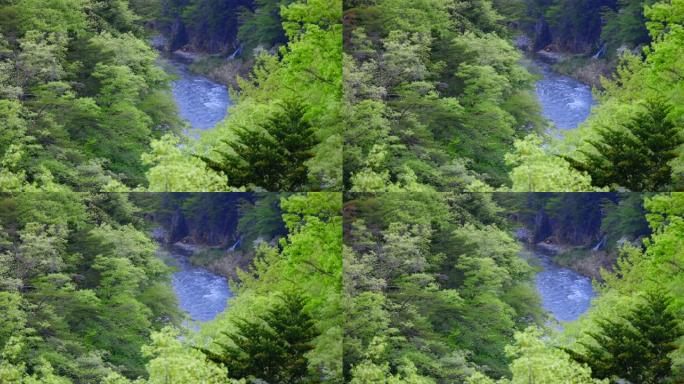 美丽的河流和流经群山的新鲜绿树