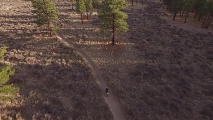 越野自行车在沙漠小径上穿越树木和鼠尾草。本德俄勒冈