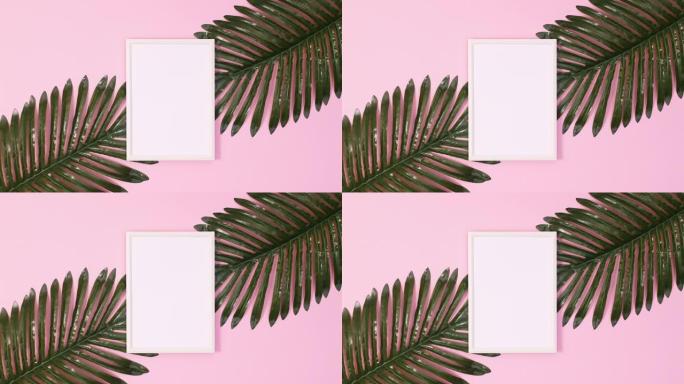 棕榈叶出现在柔和的粉红色背景上的复制空间框架周围。停止运动