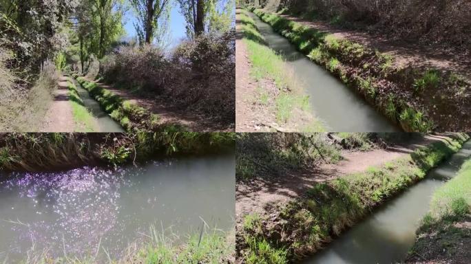 瓦拉多利德省拉古纳·德·杜罗 (Laguna de Duero) 沟渠上的水道与水感