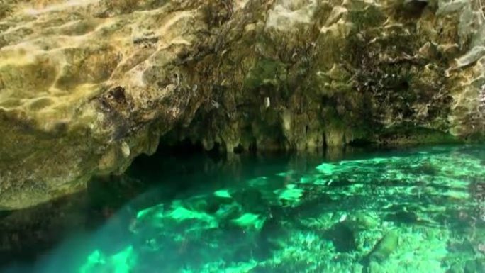 墨西哥尤卡坦半岛的水下潜水。