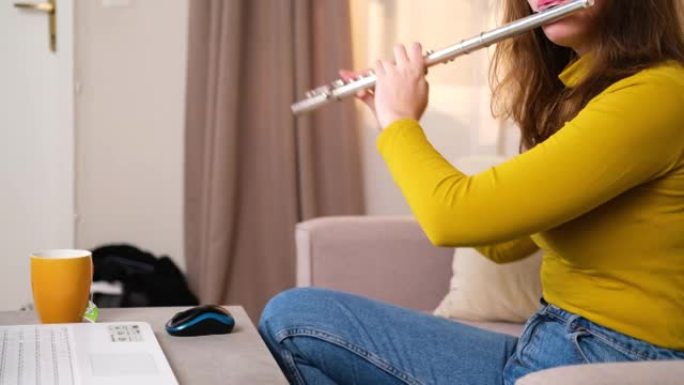 女人在家里演奏乐器，在网上为人们举办音乐会。