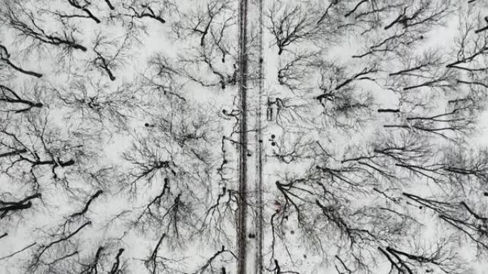 在冬季树木丛生的公园上空进行空中飞行，人们沿着它行走