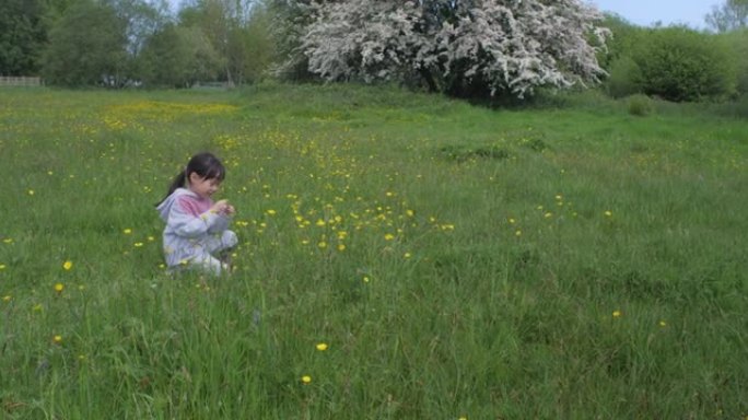 年轻女孩在春天的乡村玩耍