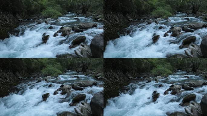 原始森林清澈溪涧流水