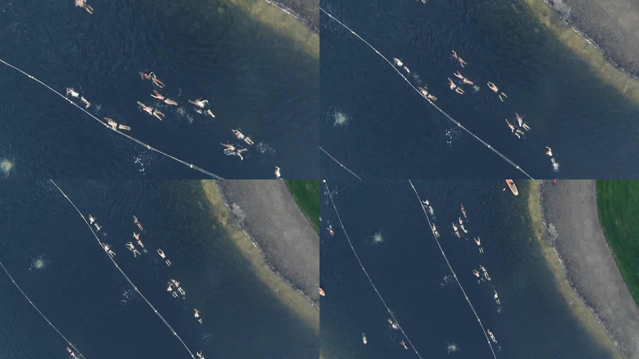 在人湖铁人三项比赛中游泳的游泳者的空中无人机拍摄