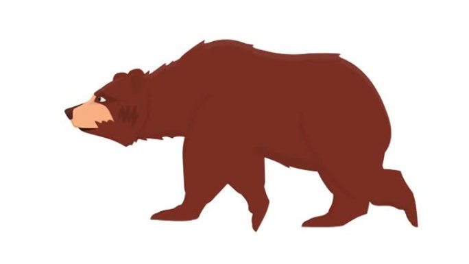 熊。动物熊动画。卡通