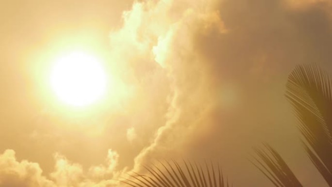 被云彩包围的灿烂阳光照在棕榈树上