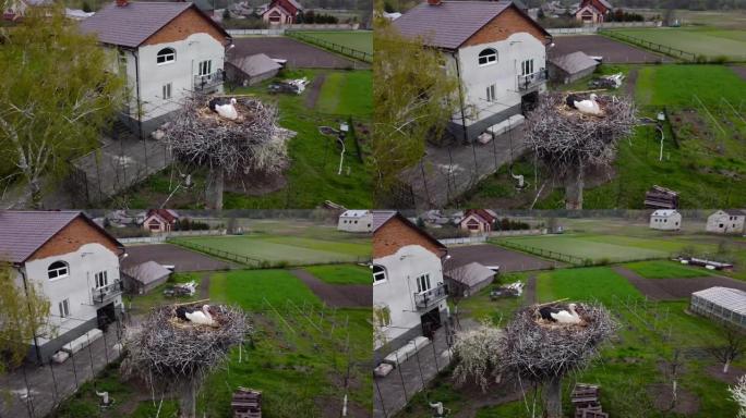 鹳已经到了。鹳巢和乡间别墅的鸟瞰图。该地块有一个花园和针叶树，一个游泳池，被春季自然包围的附属建筑。