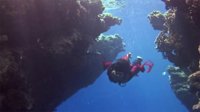 红海珊瑚背景下的红色连衣裙水下模型自由潜水员。