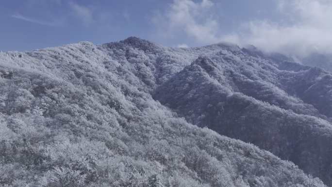 雪景