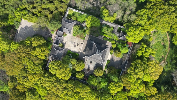 铜观音寺 太湖 晚樱 航拍 晴天 寺庙