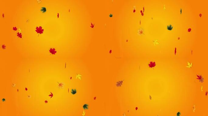 落下五颜六色的秋叶。在橙色背景上