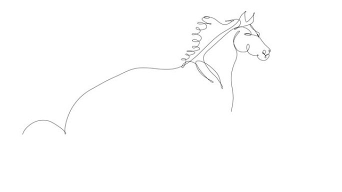马的连续线描自画动画，全长。
