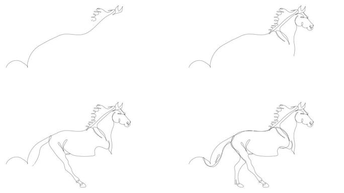 马的连续线描自画动画，全长。