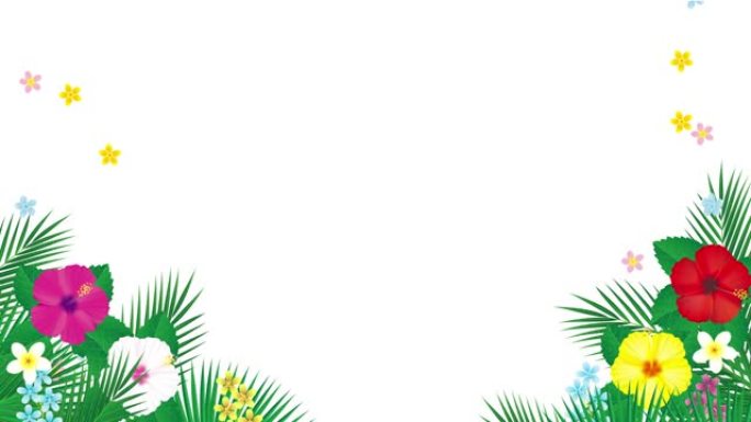 热带花芙蓉和棕榈叶架。插图视频