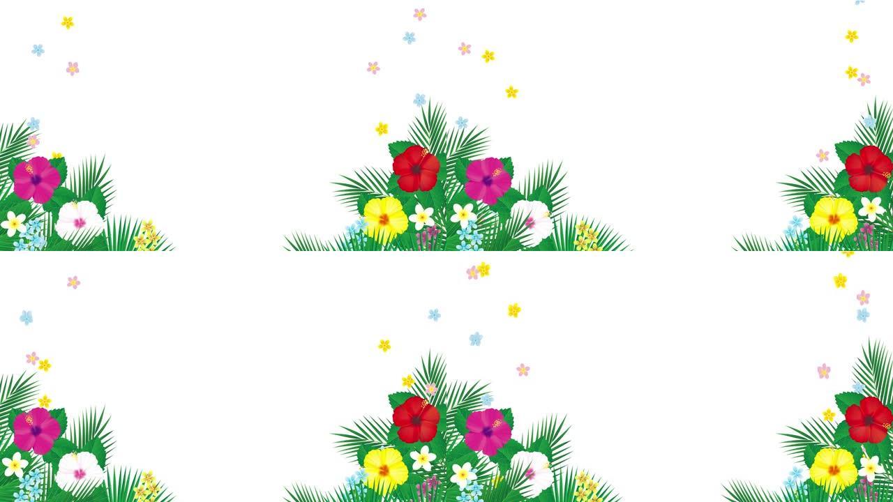 热带花芙蓉和棕榈叶架。插图视频