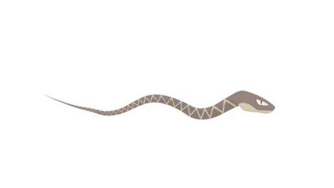动物蛇的动画。卡通