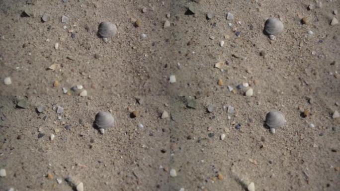 天然细滩干沙的运动颗粒在强风中特写。