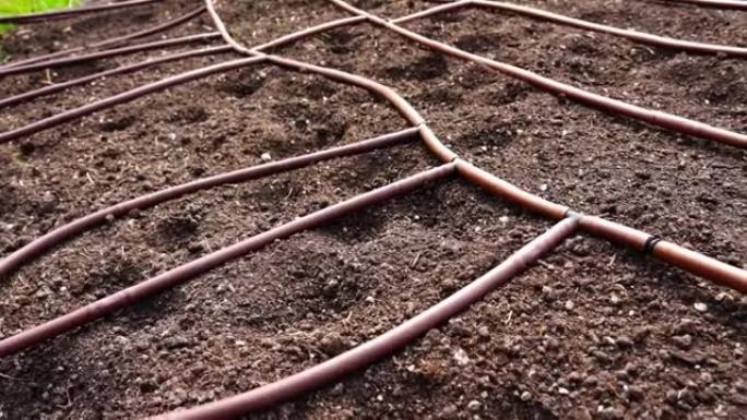 花园土壤上带橡胶管的滴灌系统