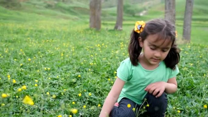 小女孩在自然公园采花
