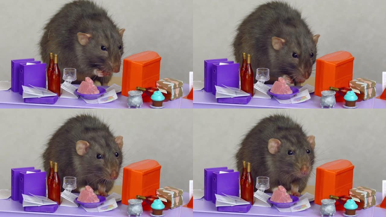 老鼠在木偶办公室吃商务午餐