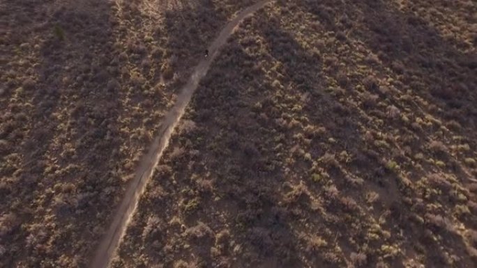 越野自行车在沙漠小径上穿越树木和鼠尾草。本德俄勒冈