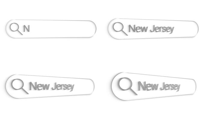 新泽西州搜索栏关闭单行键入文本框布局Web数据库浏览器引擎概念。