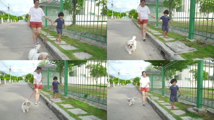 亚洲母子与一只西施犬在村里的公园散步