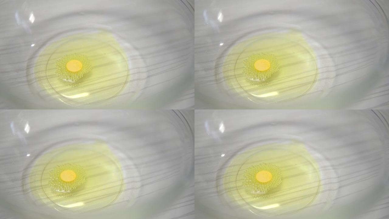 黄色药片溶解在一盘液体中。复活节彩蛋涂料