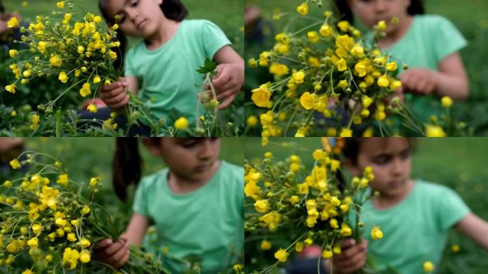 小女孩在自然公园采花